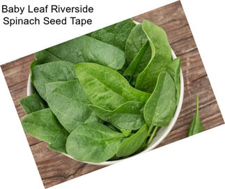 Baby Leaf Riverside Spinach Seed Tape