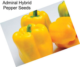 Admiral Hybrid Pepper Seeds