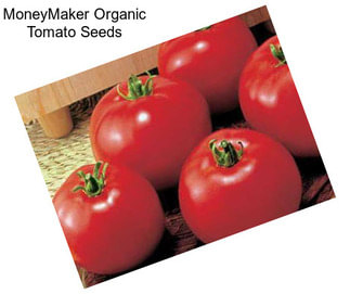 MoneyMaker Organic Tomato Seeds