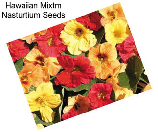 Hawaiian Mixtm Nasturtium Seeds