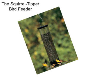 The Squirrel-Tipper Bird Feeder