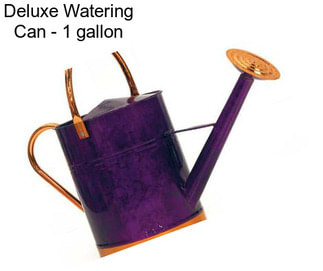 Deluxe Watering Can - 1 gallon