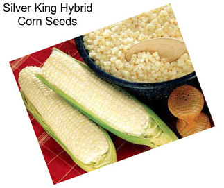Silver King Hybrid Corn Seeds