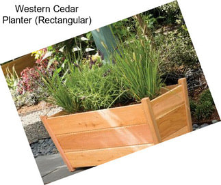 Western Cedar Planter (Rectangular)