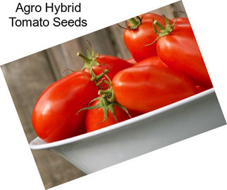 Agro Hybrid Tomato Seeds