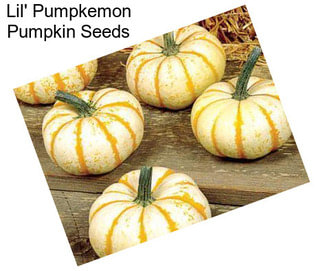 Lil\' Pumpkemon Pumpkin Seeds