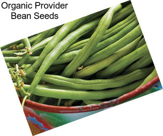 Organic Provider Bean Seeds