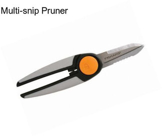 Multi-snip Pruner