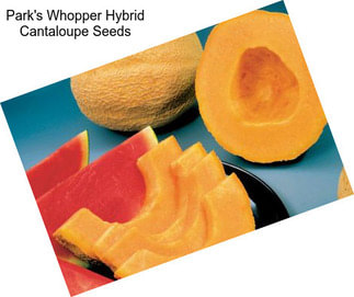 Park\'s Whopper Hybrid Cantaloupe Seeds