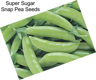 Super Sugar Snap Pea Seeds