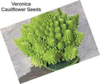 Veronica Cauliflower Seeds