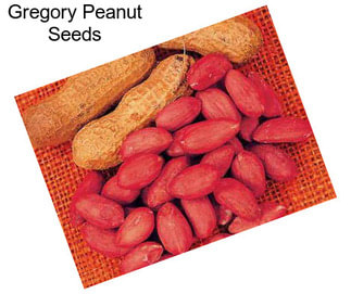 Gregory Peanut Seeds