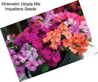 Xtremetm Utopia Mix Impatiens Seeds