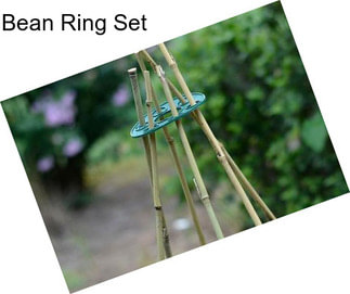 Bean Ring Set