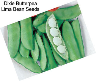 Dixie Butterpea Lima Bean Seeds