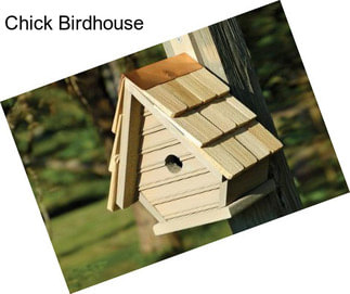 Chick Birdhouse