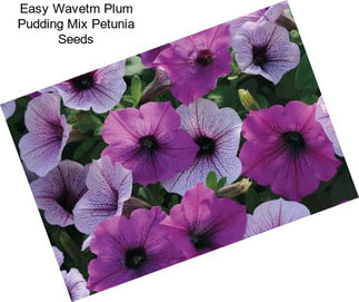 Easy Wavetm Plum Pudding Mix Petunia Seeds