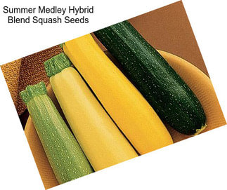 Summer Medley Hybrid Blend Squash Seeds