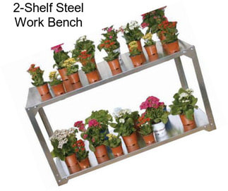 2-Shelf Steel Work Bench
