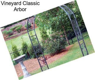 Vineyard Classic Arbor