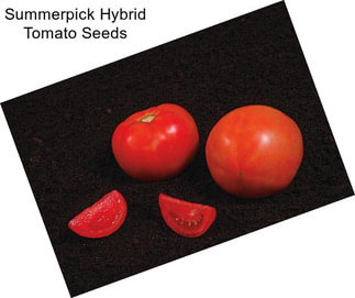 Summerpick Hybrid Tomato Seeds