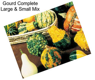 Gourd Complete Large & Small Mix
