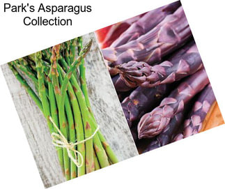 Park\'s Asparagus Collection