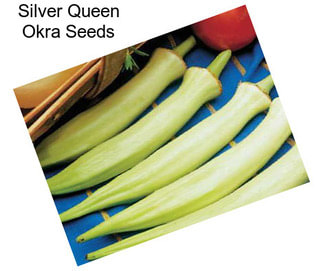 Silver Queen Okra Seeds