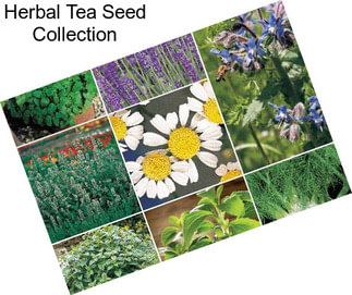 Herbal Tea Seed Collection