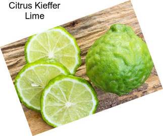 Citrus Kieffer Lime