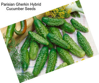 Parisian Gherkin Hybrid Cucumber Seeds
