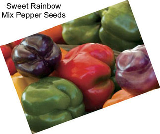 Sweet Rainbow Mix Pepper Seeds