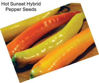Hot Sunset Hybrid Pepper Seeds