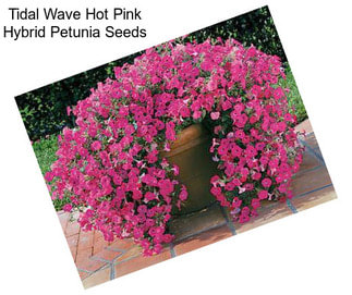 Tidal Wave Hot Pink Hybrid Petunia Seeds