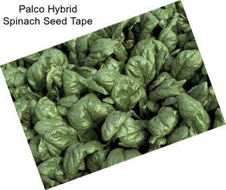 Palco Hybrid Spinach Seed Tape