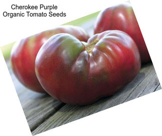 Cherokee Purple Organic Tomato Seeds
