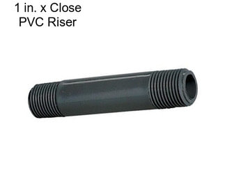 1 in. x Close PVC Riser