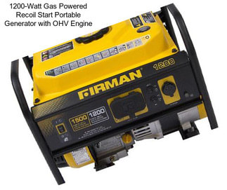 1200-Watt Gas Powered Recoil Start Portable Generator with OHV Engine