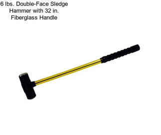 6 lbs. Double-Face Sledge Hammer with 32 in. Fiberglass Handle