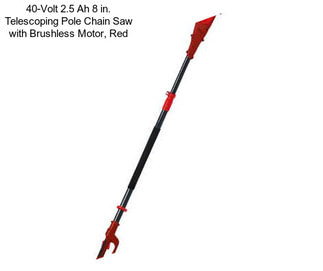 40-Volt 2.5 Ah 8 in. Telescoping Pole Chain Saw with Brushless Motor, Red