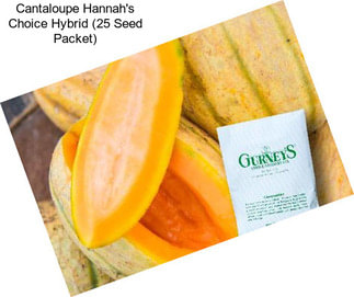 Cantaloupe Hannah\'s Choice Hybrid (25 Seed Packet)