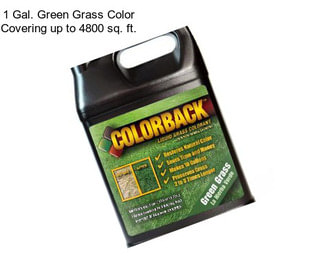 1 Gal. Green Grass Color Covering up to 4800 sq. ft.