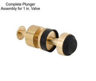 Complete Plunger Assembly for 1 in. Valve