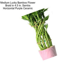 Medium Lucky Bamboo Flower Braid in 4.5 in. Samba Horizontal Purple Ceramic