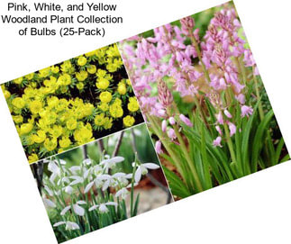 Pink, White, and Yellow Woodland Plant Collection of Bulbs (25-Pack)