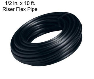 1/2 in. x 10 ft. Riser Flex Pipe