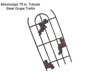 Mississippi 79 in. Tubular Steel Grape Trellis