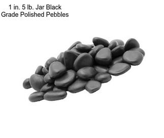 1 in. 5 lb. Jar Black Grade Polished Pebbles