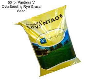 50 lb. Panterra V OverSeeding Rye Grass Seed