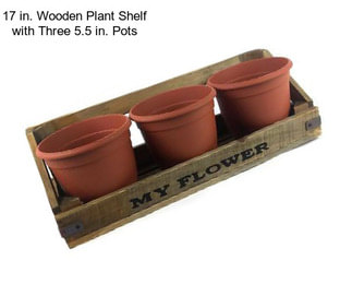 17 in. Wooden Plant Shelf with Three 5.5 in. Pots